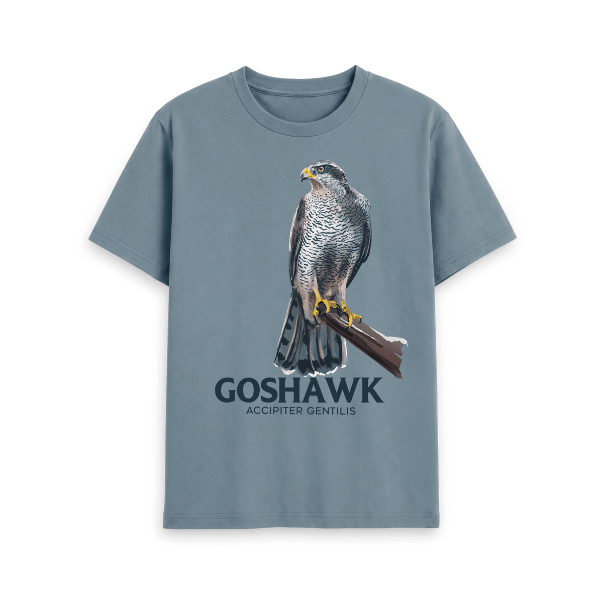 Stone Blue Printed T-shirt Front