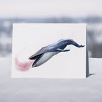 Whales - 6 x Greetings cards