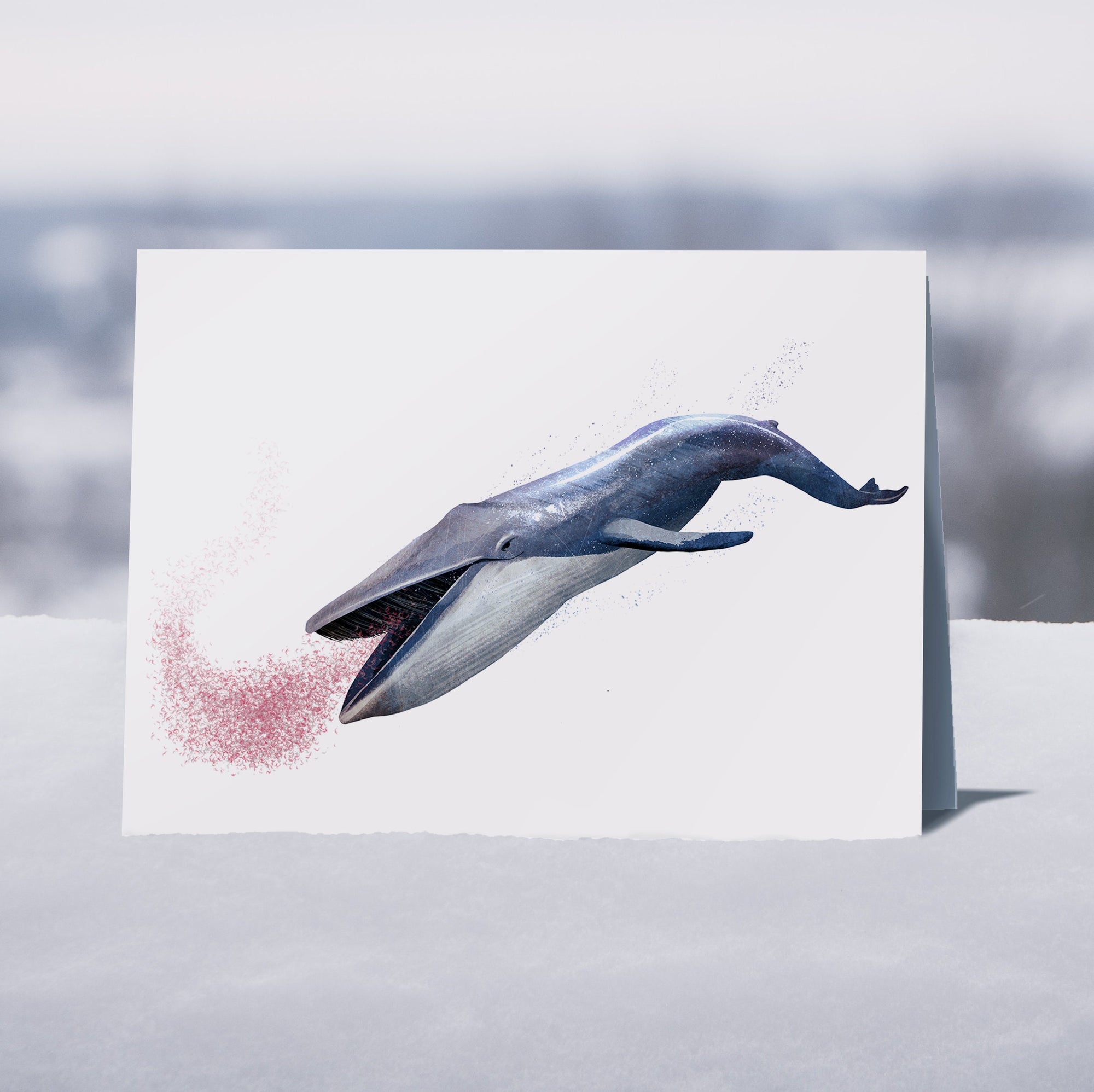 Whales - 6 x Greetings cards