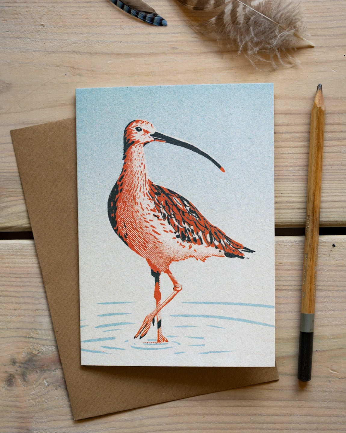 Curlew - A6 Greeting Card