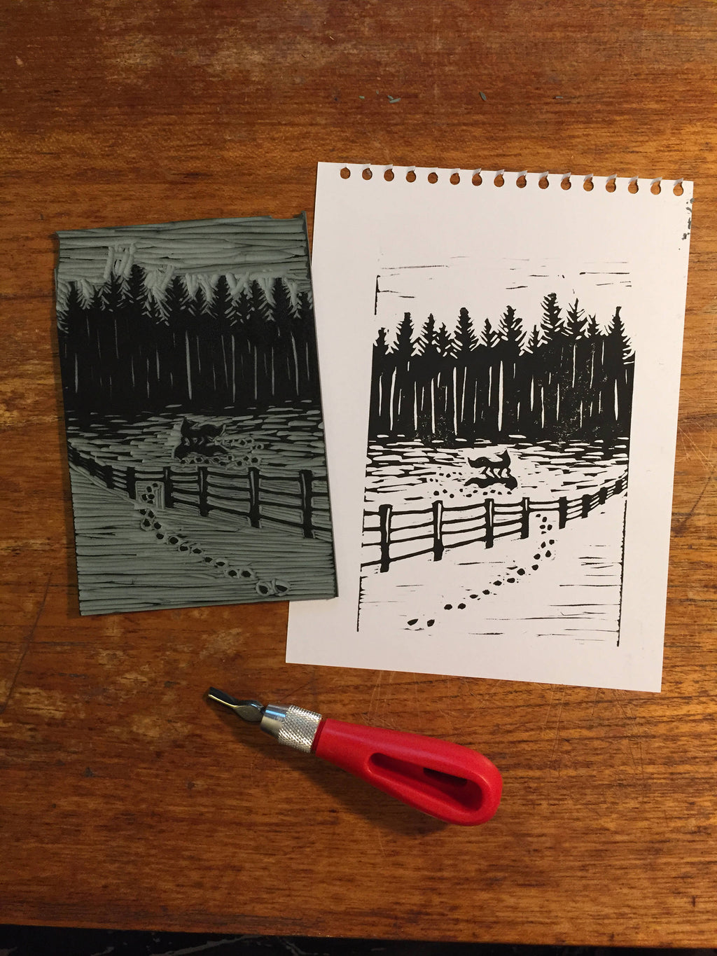 Fox and Big Winter Moon