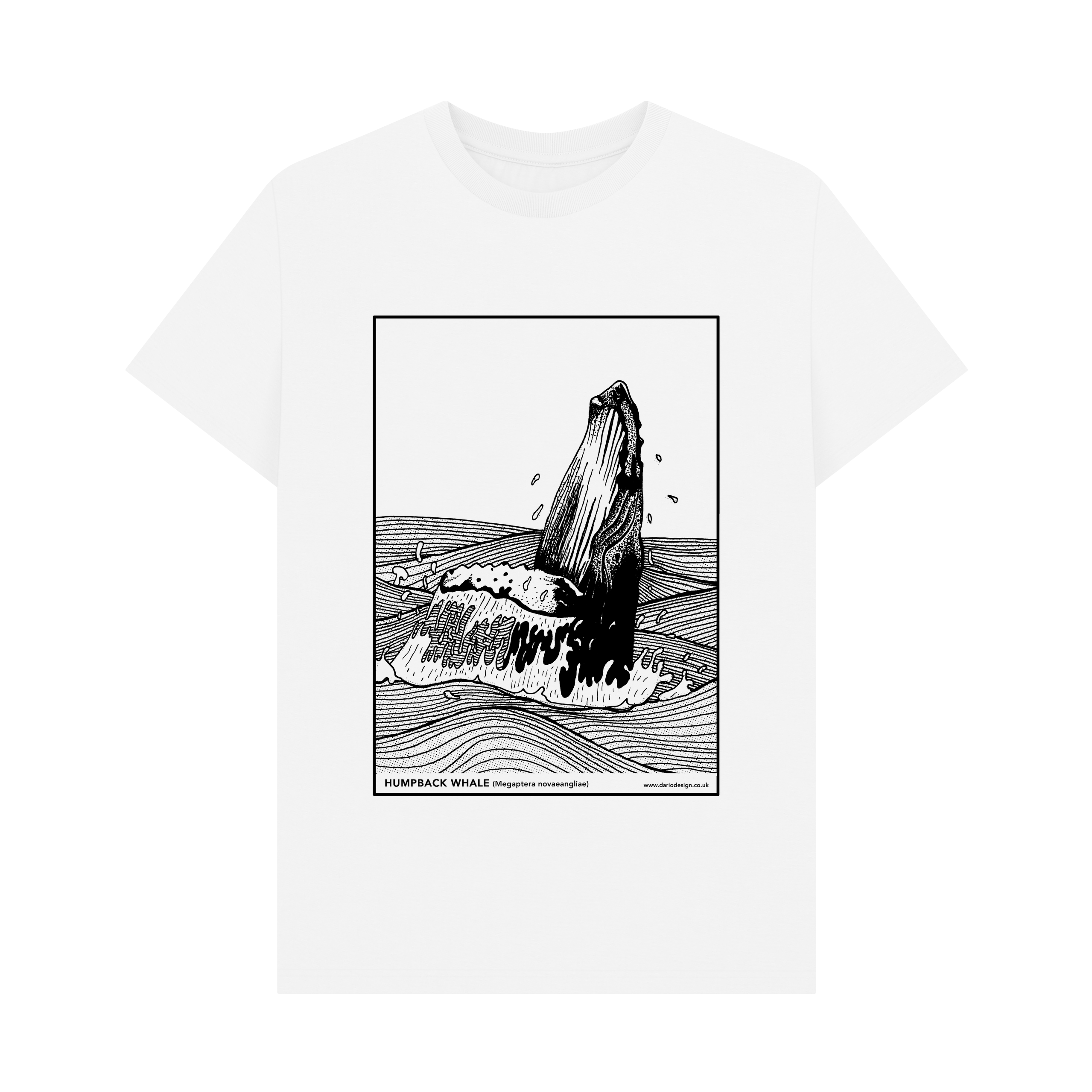 White Printed T-shirt Front