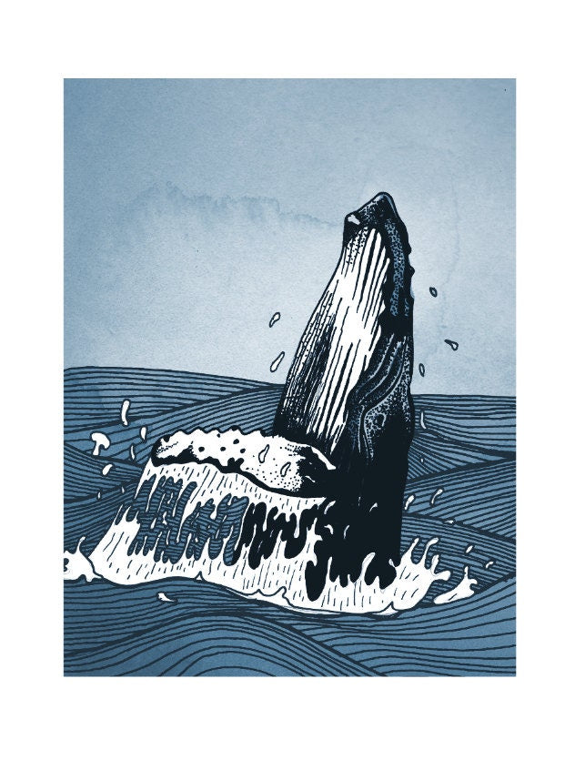 Humpback Whale breaching print