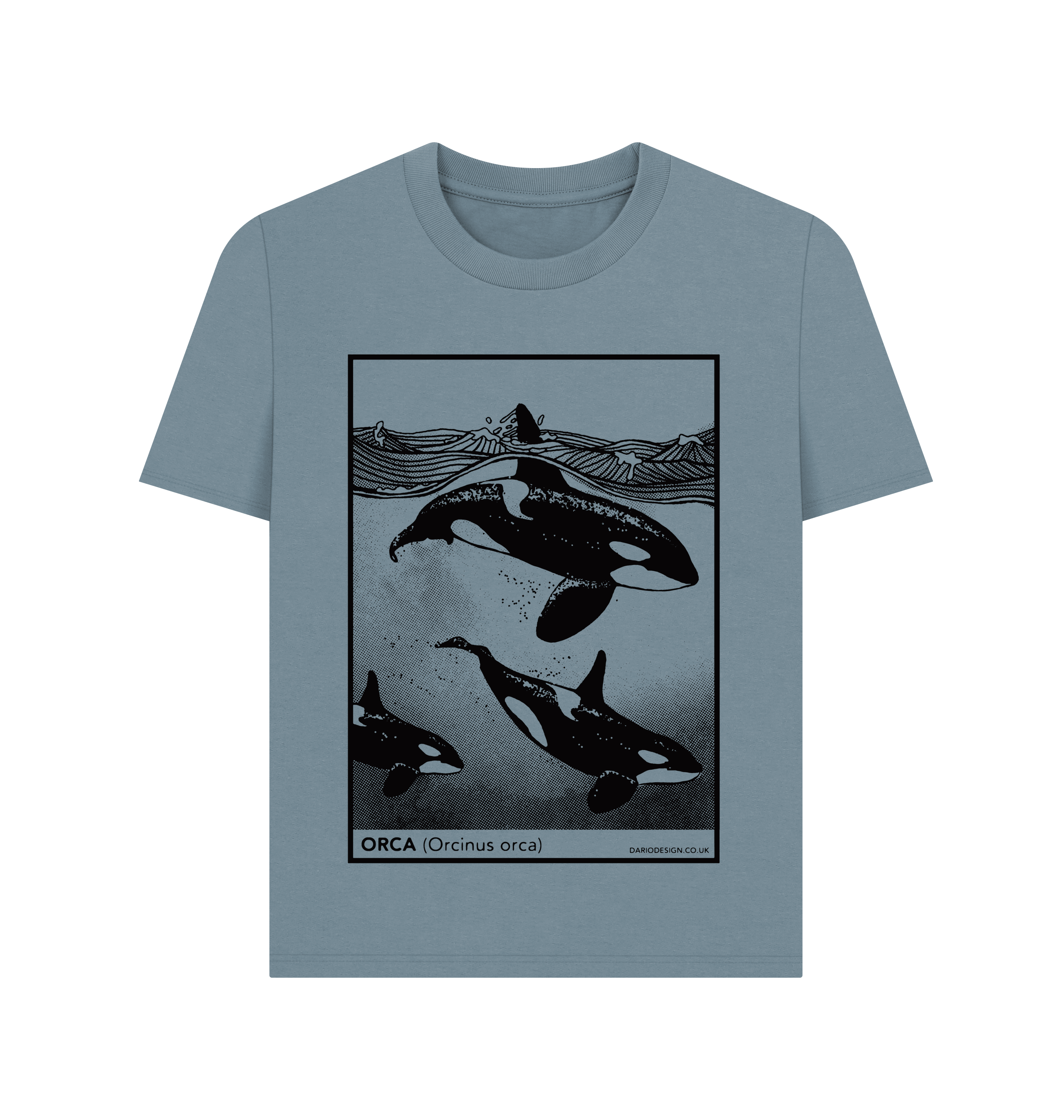 Stone Blue Printed T-shirt Front