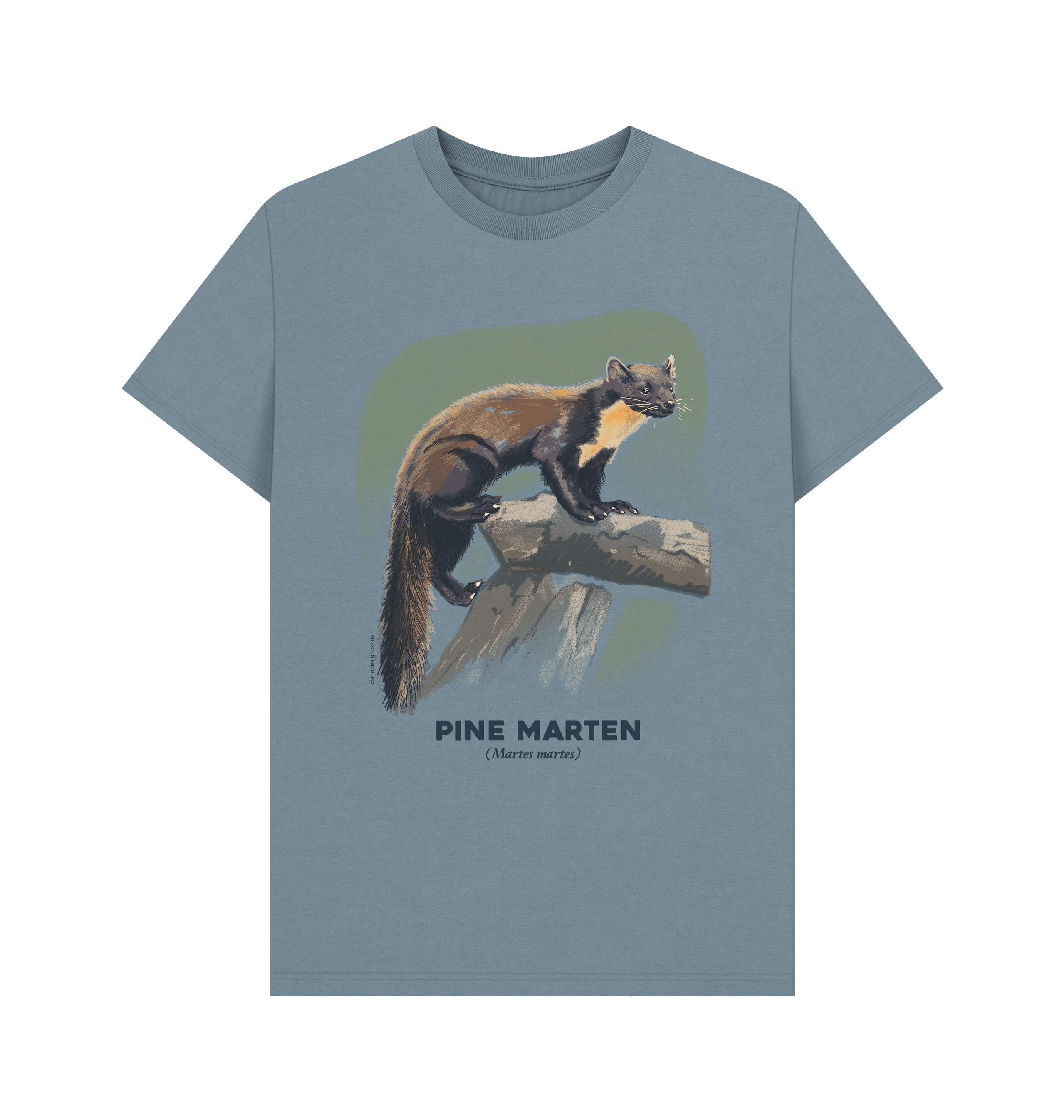 Stone Blue Printed T-shirt Front
