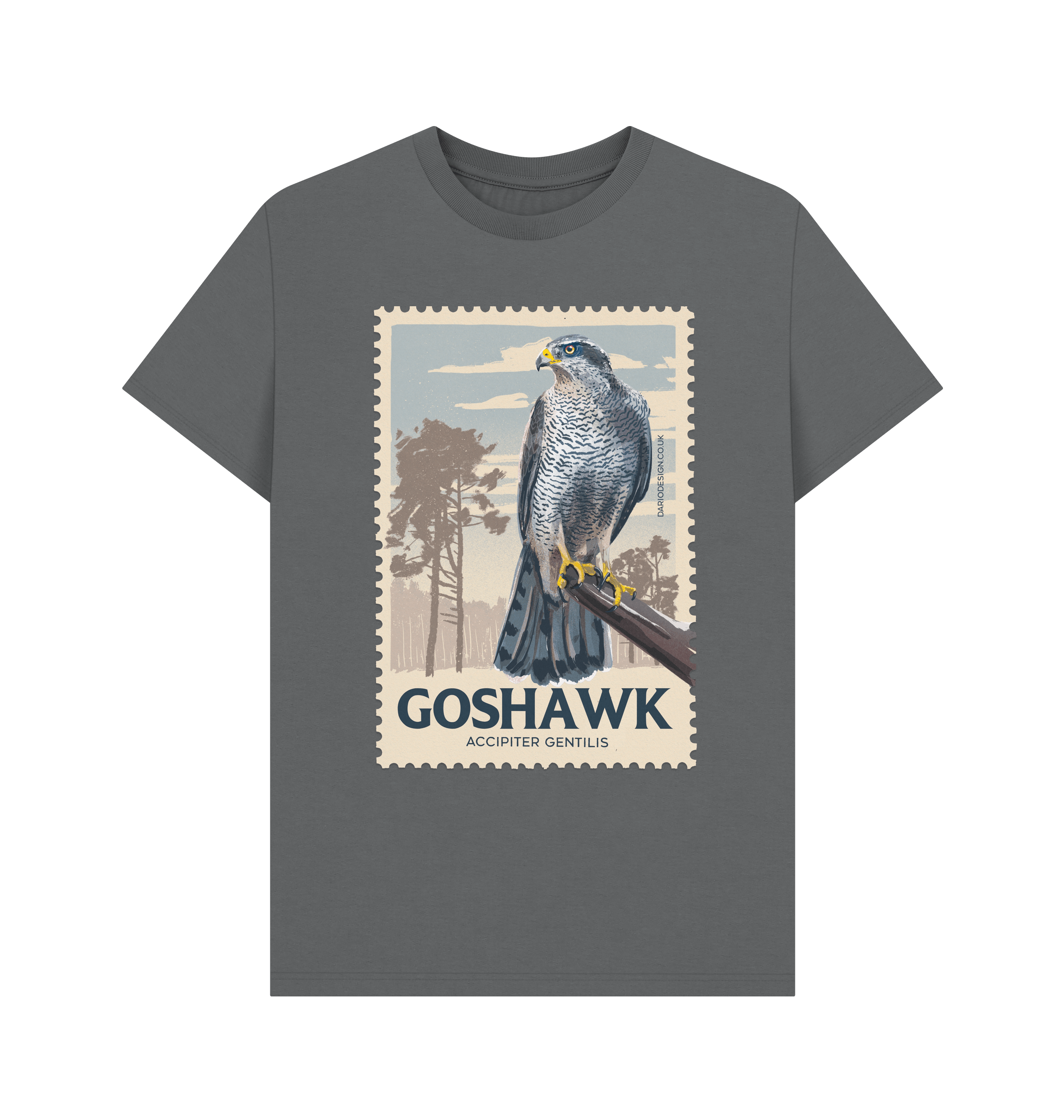 Slate Grey Printed T-shirt Front