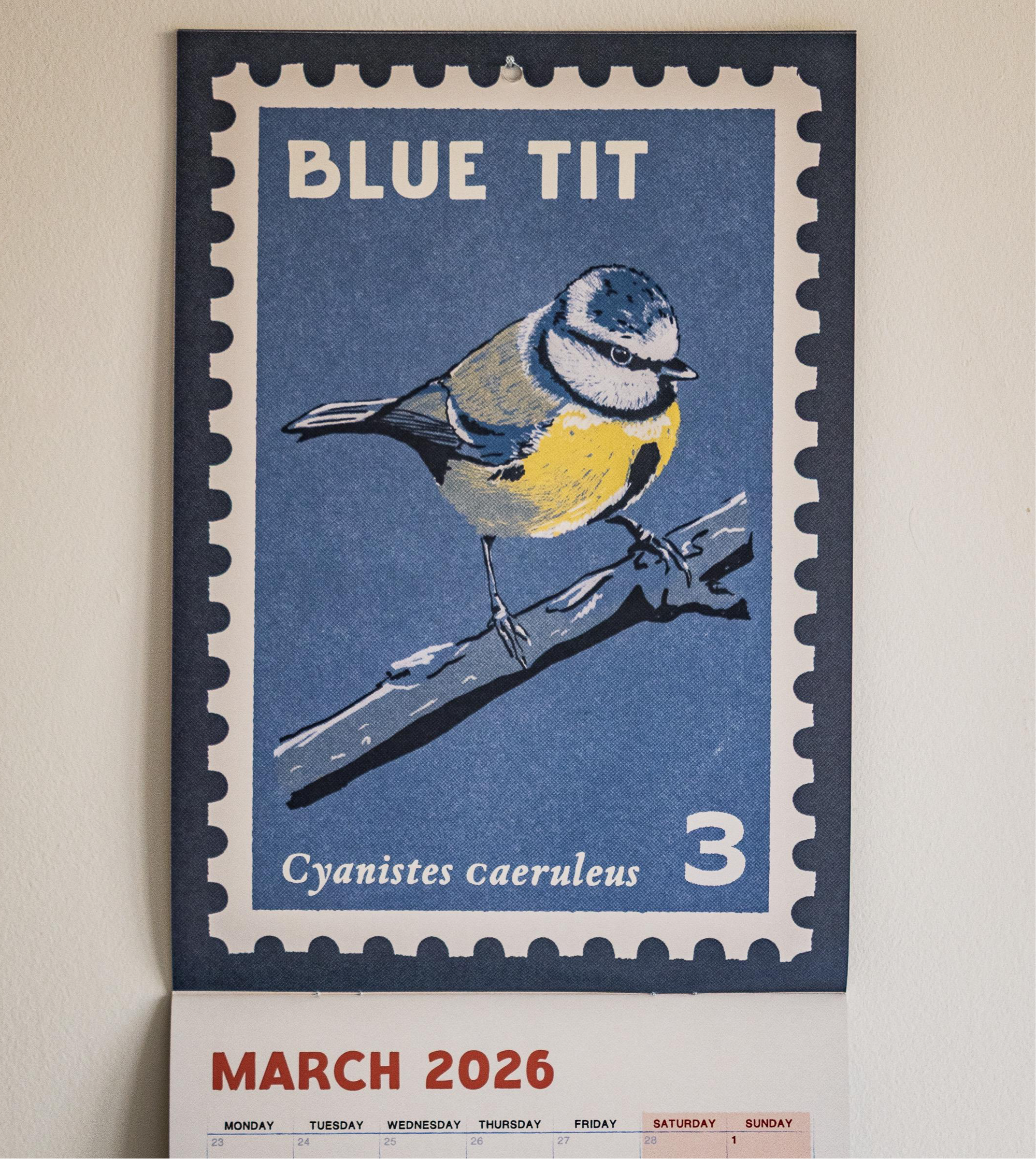 Songbirds - 2026 retro illustrated calendar