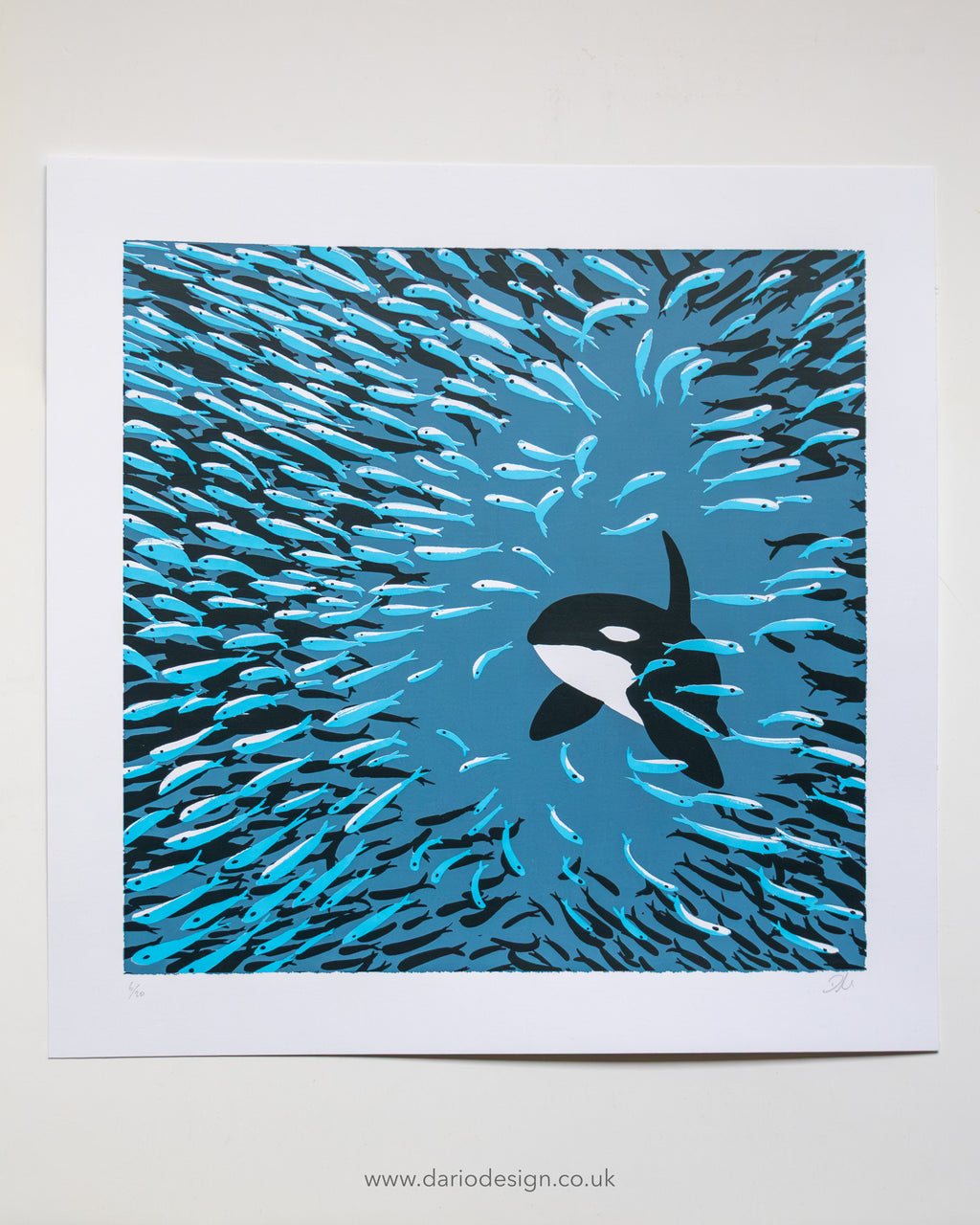 Orca Herring Ball - Limited Edition Screen Print