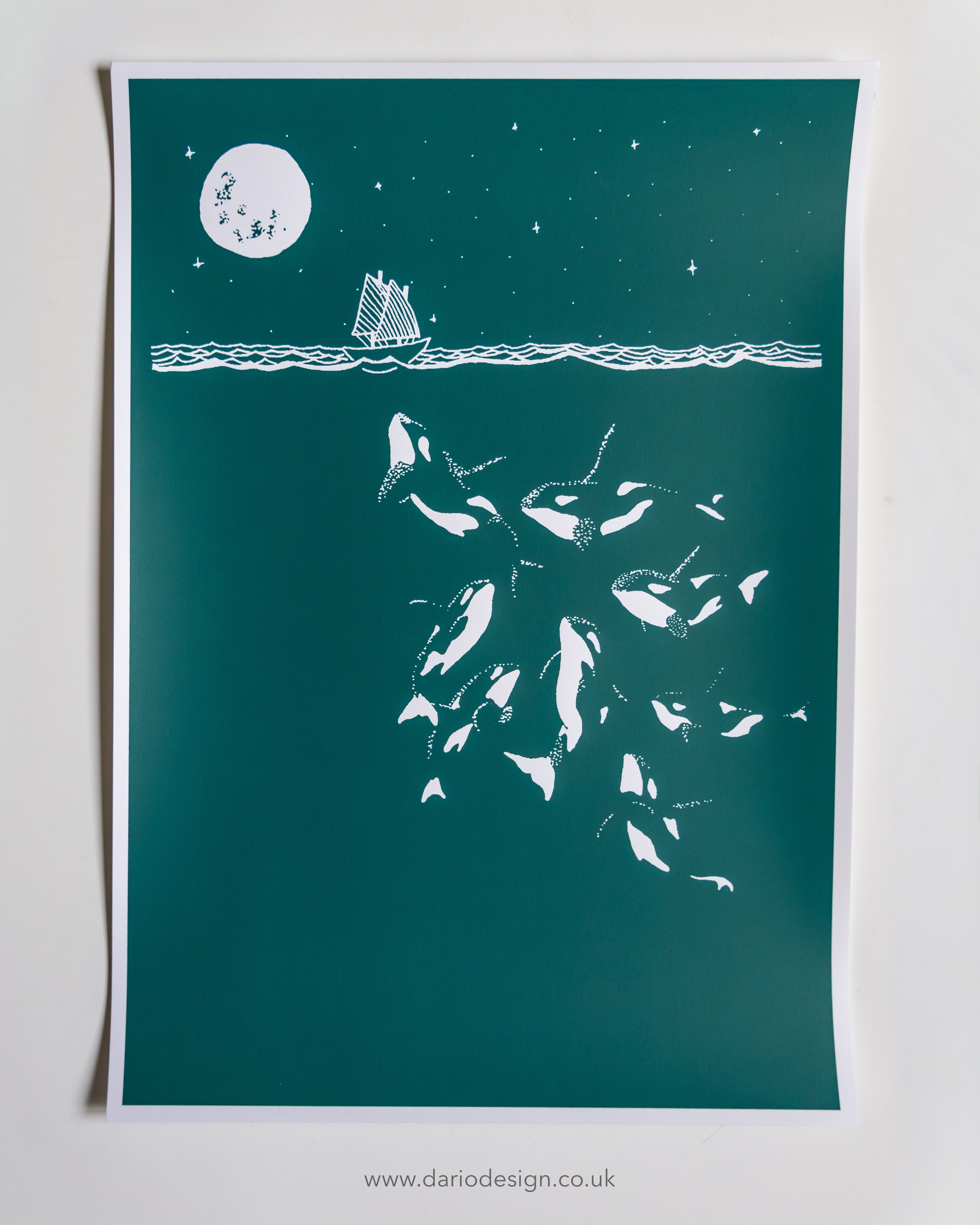 Midnight Orca - A3 Screen Printed limited edition (midnight / teal)