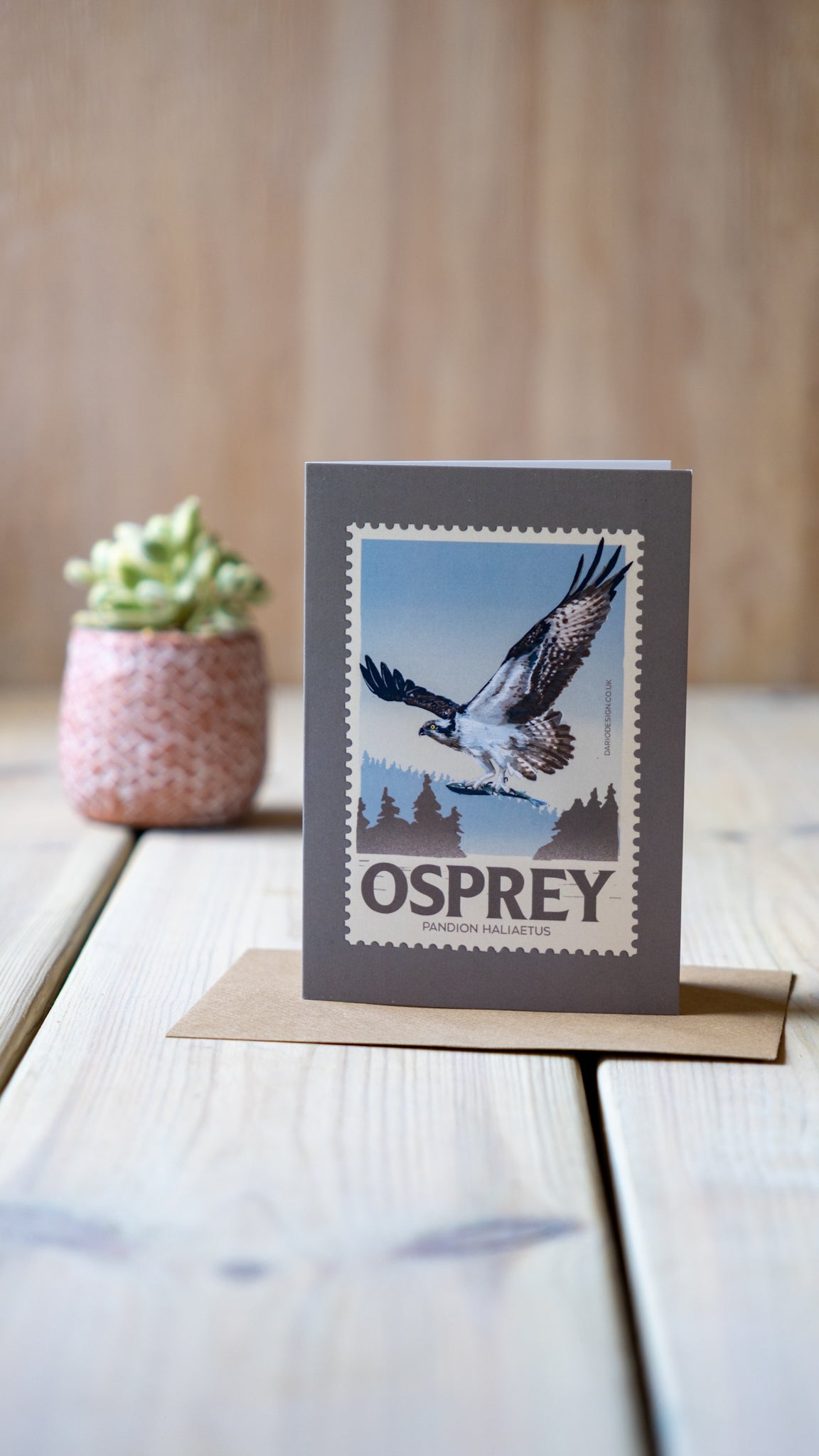 Osprey - A6 Greeting Card