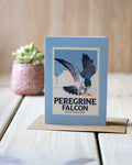 Peregrine Falcon - A6 Greeting Card