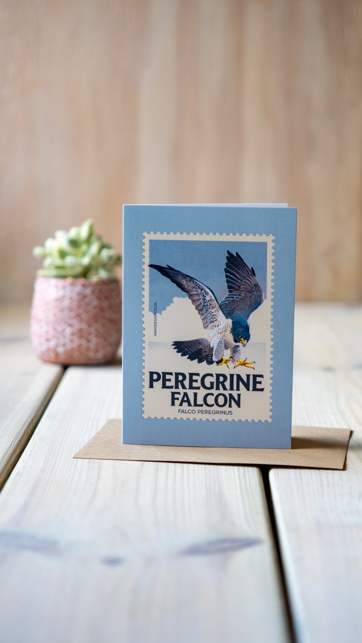 Peregrine Falcon - A6 Greeting Card