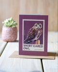 Short eared owl - A6 Greeting Card