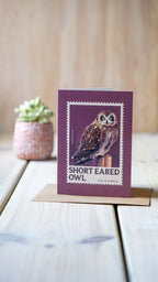Short eared owl - A6 Greeting Card