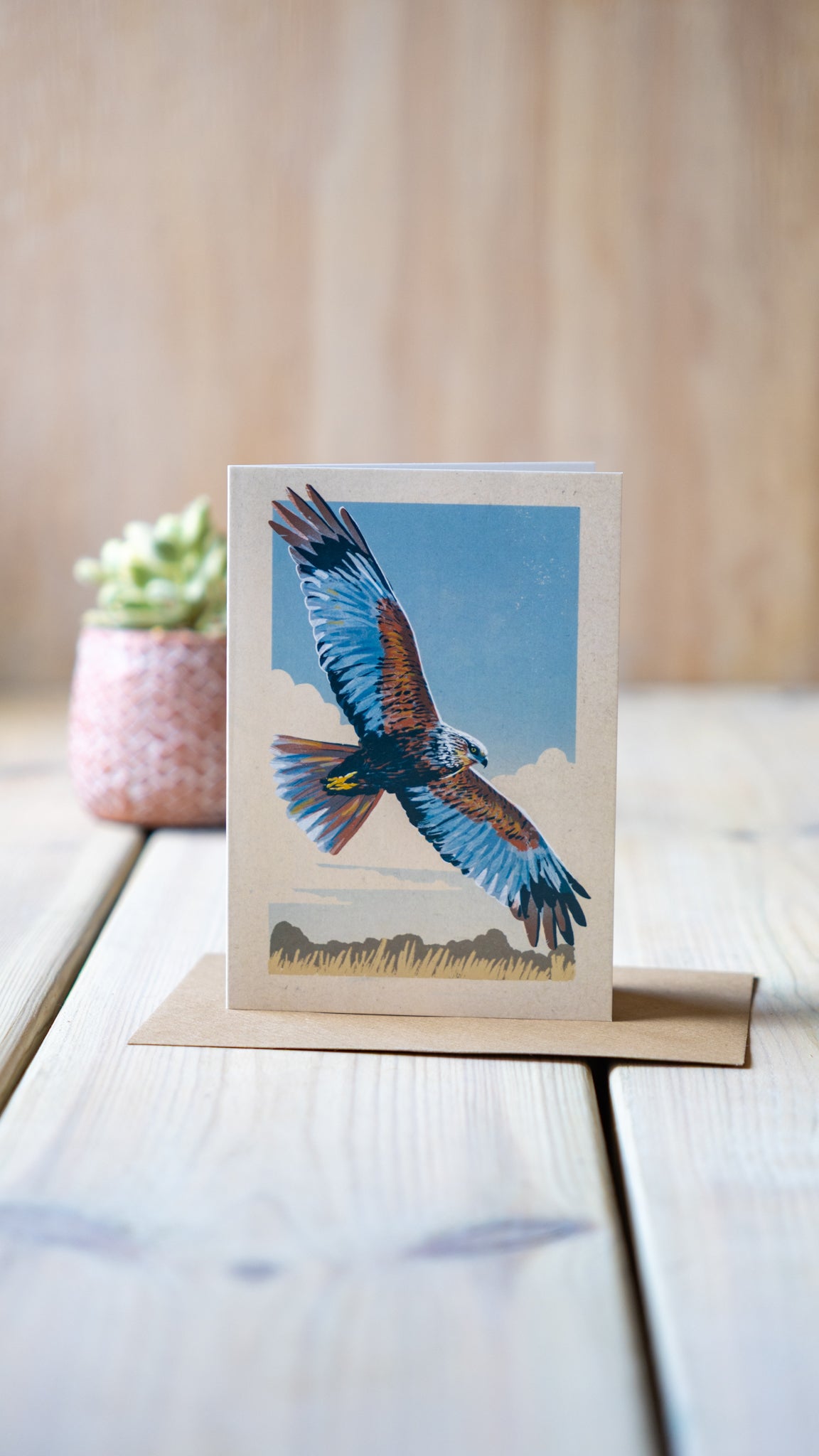 Marsh Harrier - A6 Greeting Card