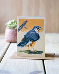 Sparrowhawk - A6 Greeting Card