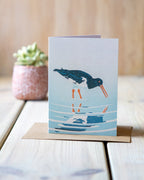 Ostercatcher - A6 Greeting Card