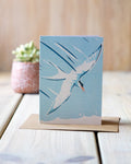 Tern - A6 Greeting Card