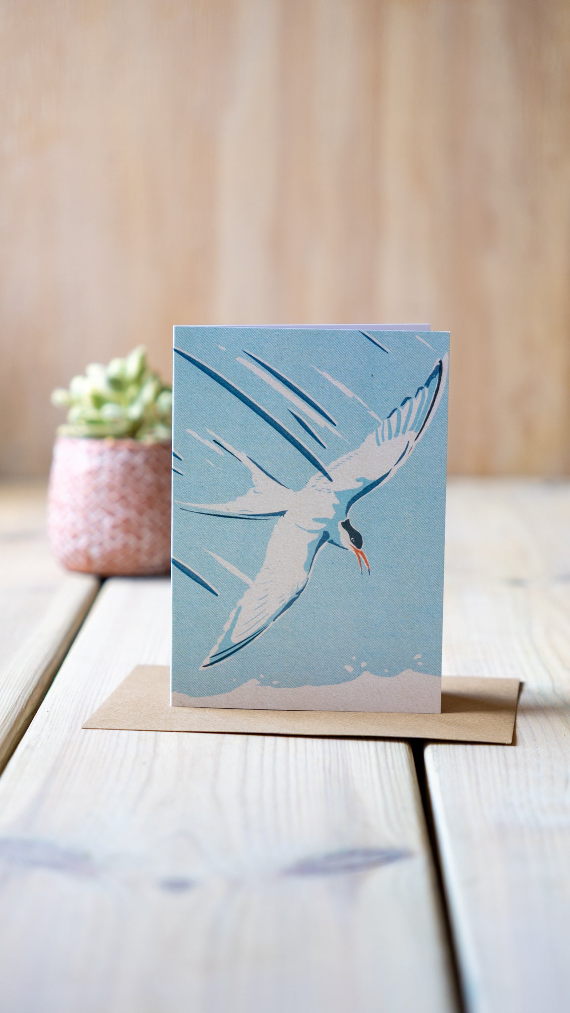Tern - A6 Greeting Card