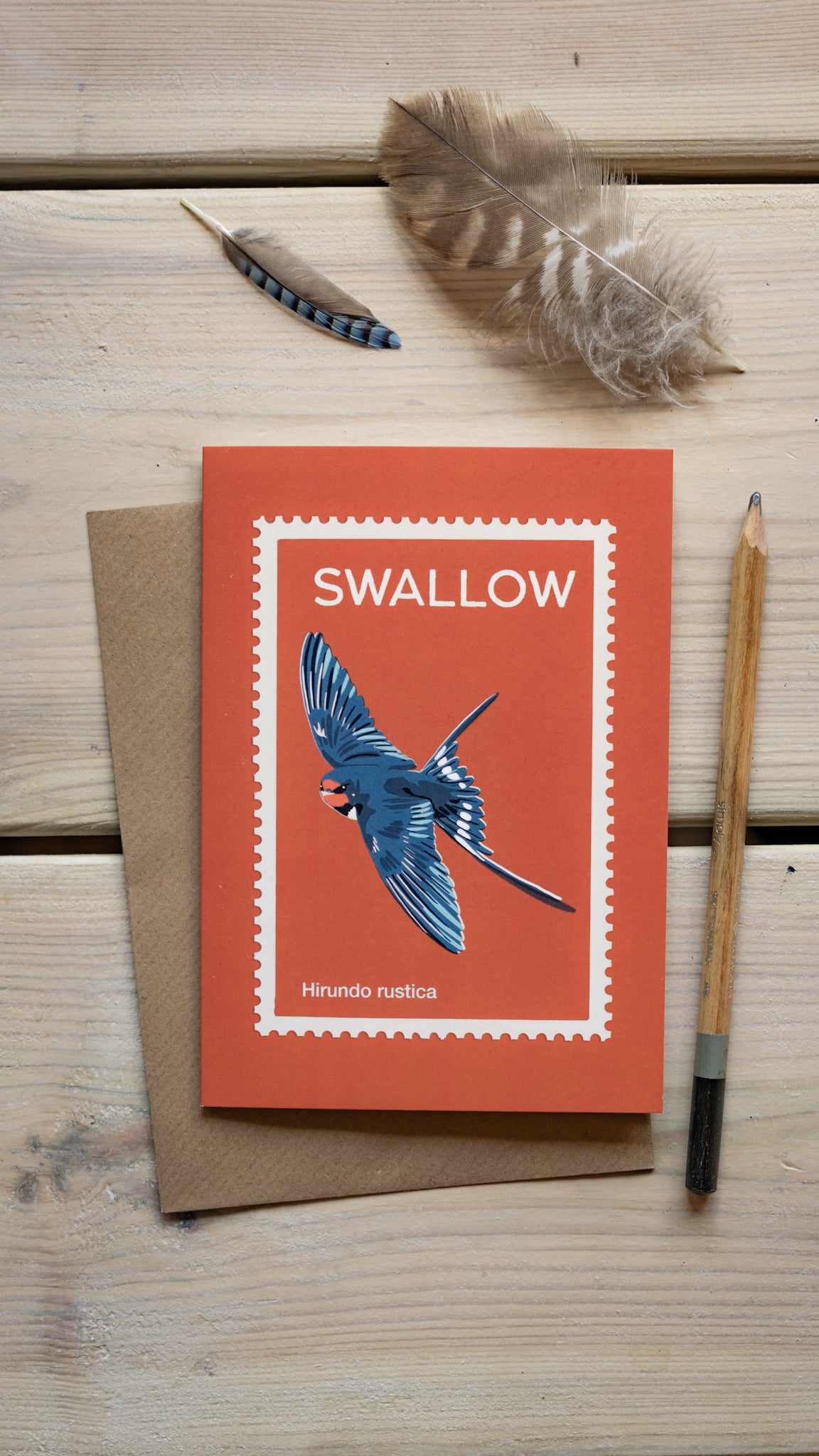 Barn Swallow - A6 Greeting Card