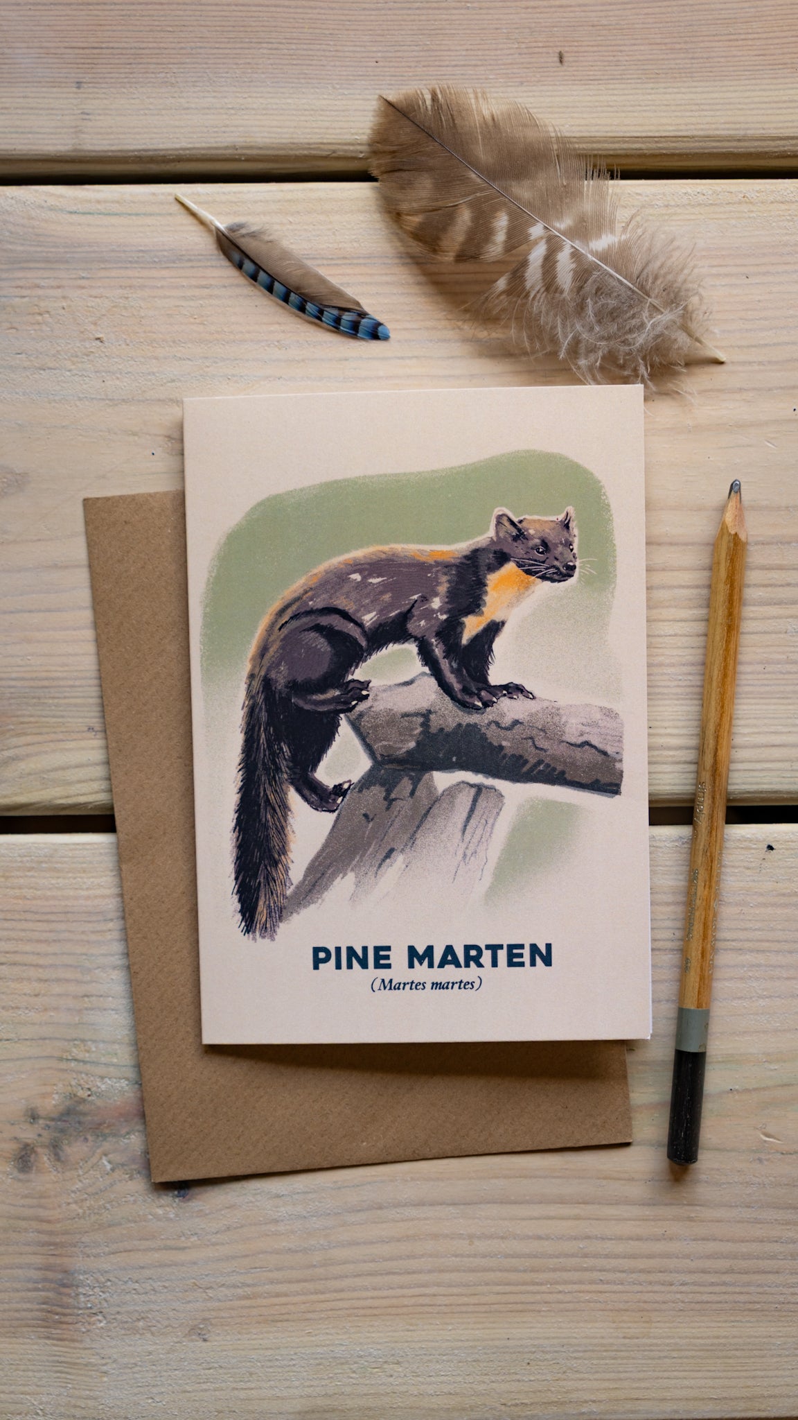 Pine Marten - A6 Greeting Card