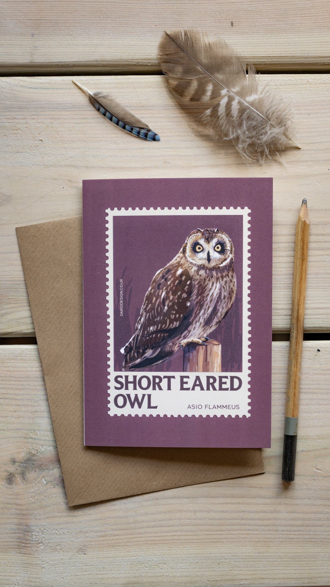 Short eared owl - A6 Greeting Card