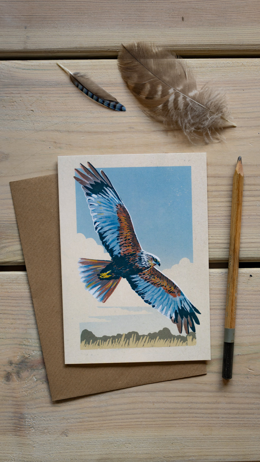 Marsh Harrier - A6 Greeting Card