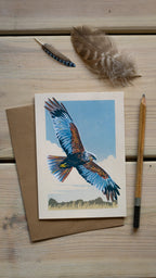 Marsh Harrier - A6 Greeting Card