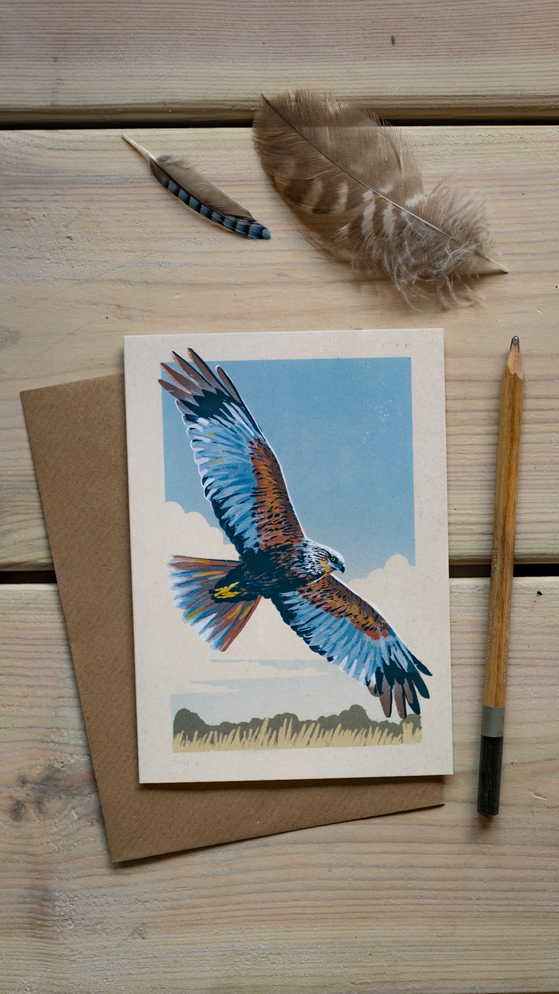 Marsh Harrier - A6 Greeting Card
