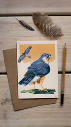 Sparrowhawk - A6 Greeting Card