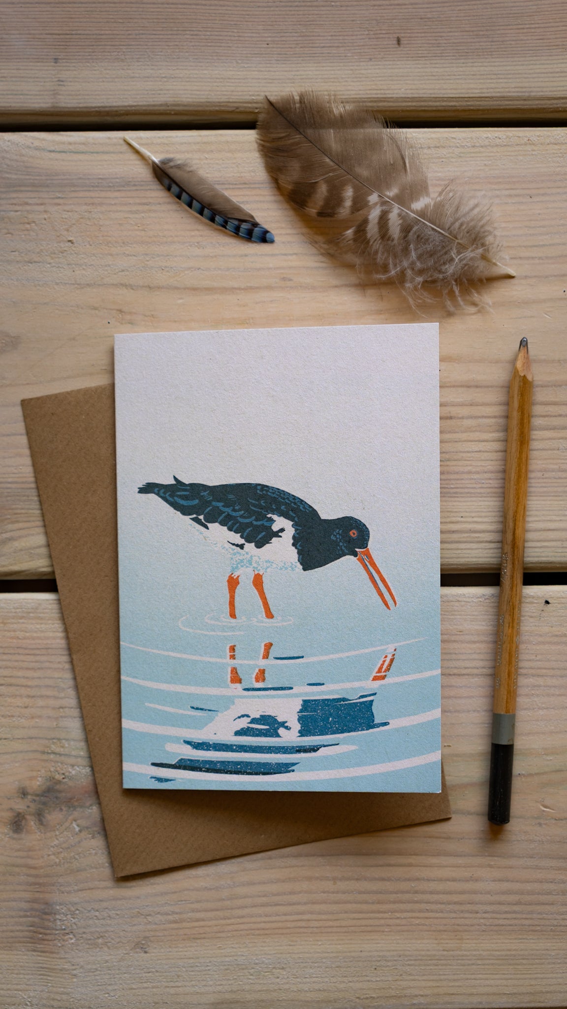 Ostercatcher - A6 Greeting Card