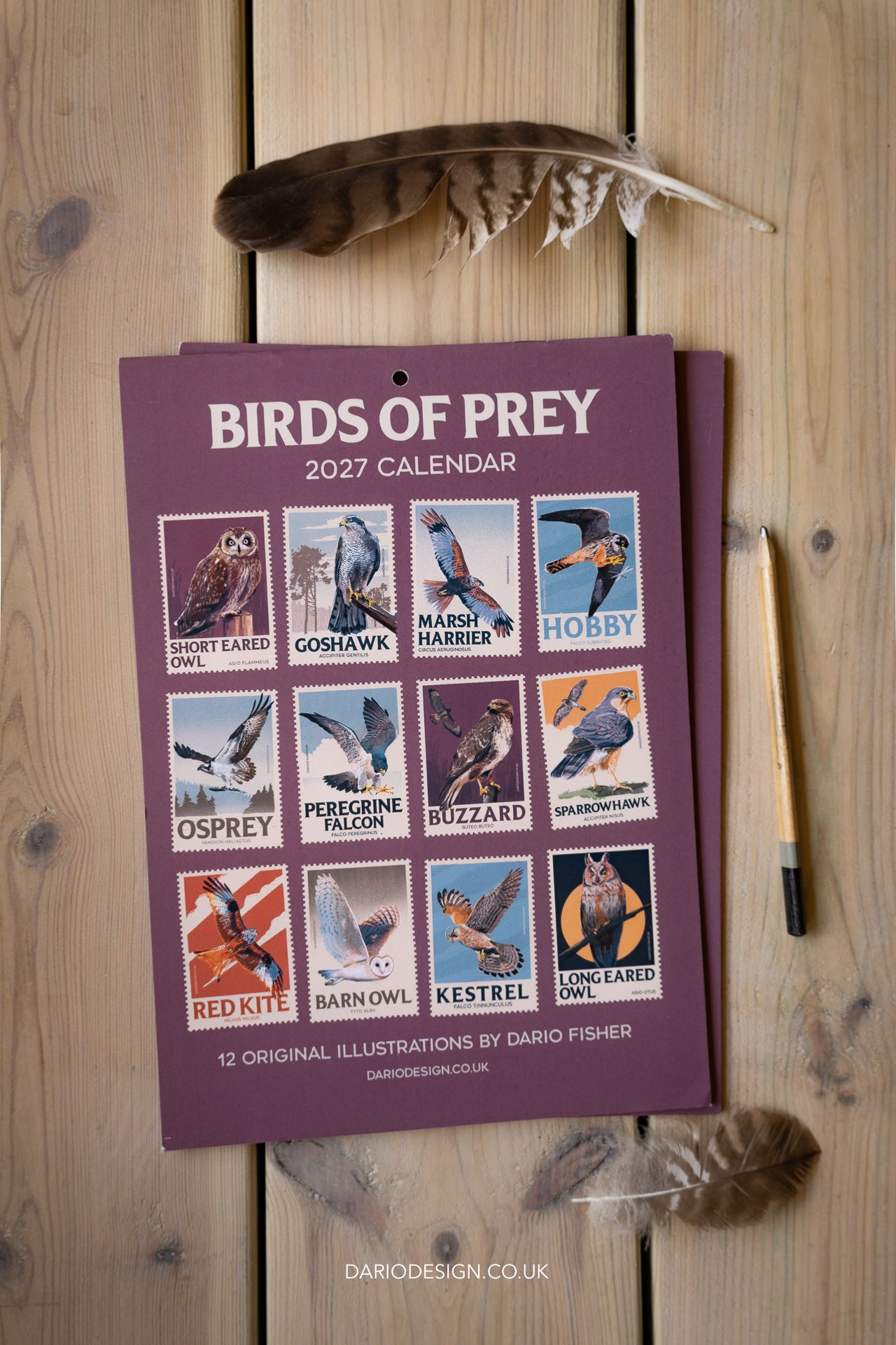 NEW! Birds of Prey - 2027 illustrated calendar