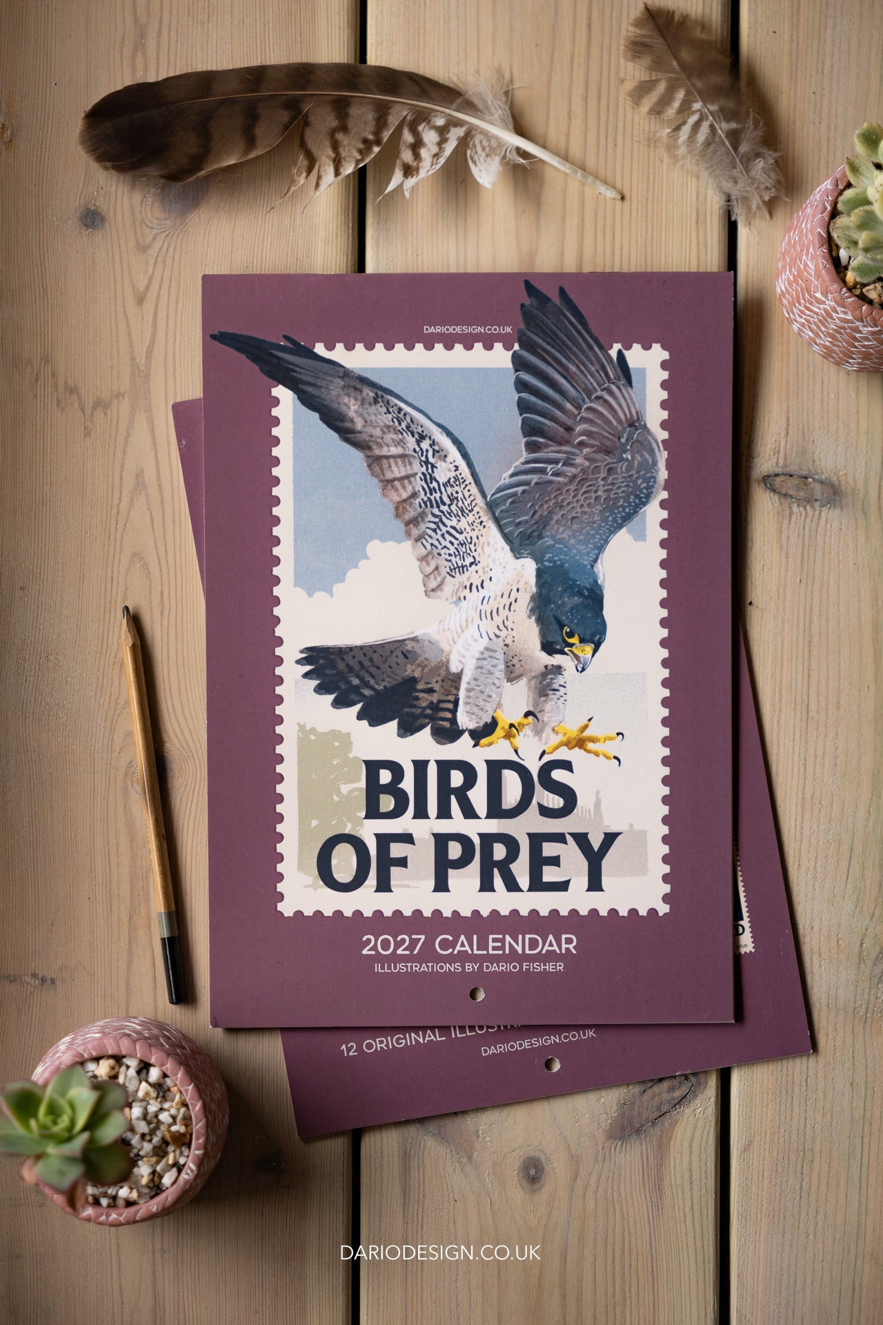 NEW! Birds of Prey - 2027 illustrated calendar