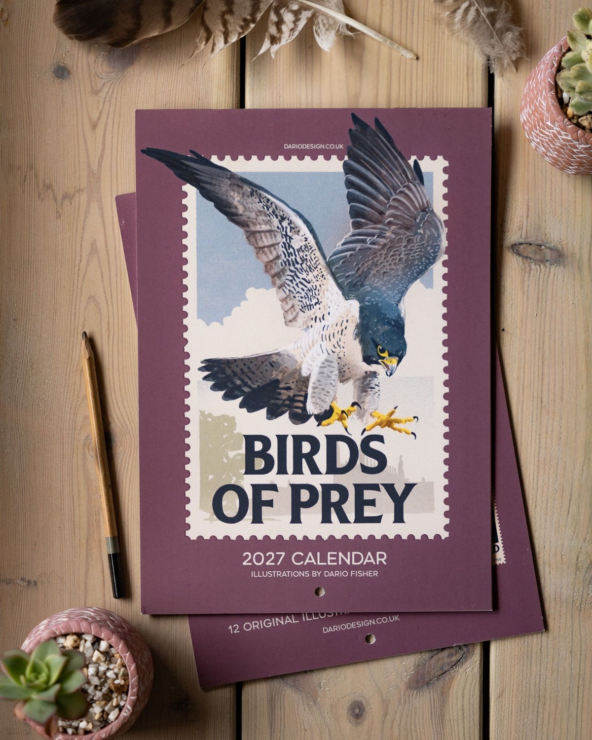 NEW! Birds of Prey - 2027 illustrated calendar