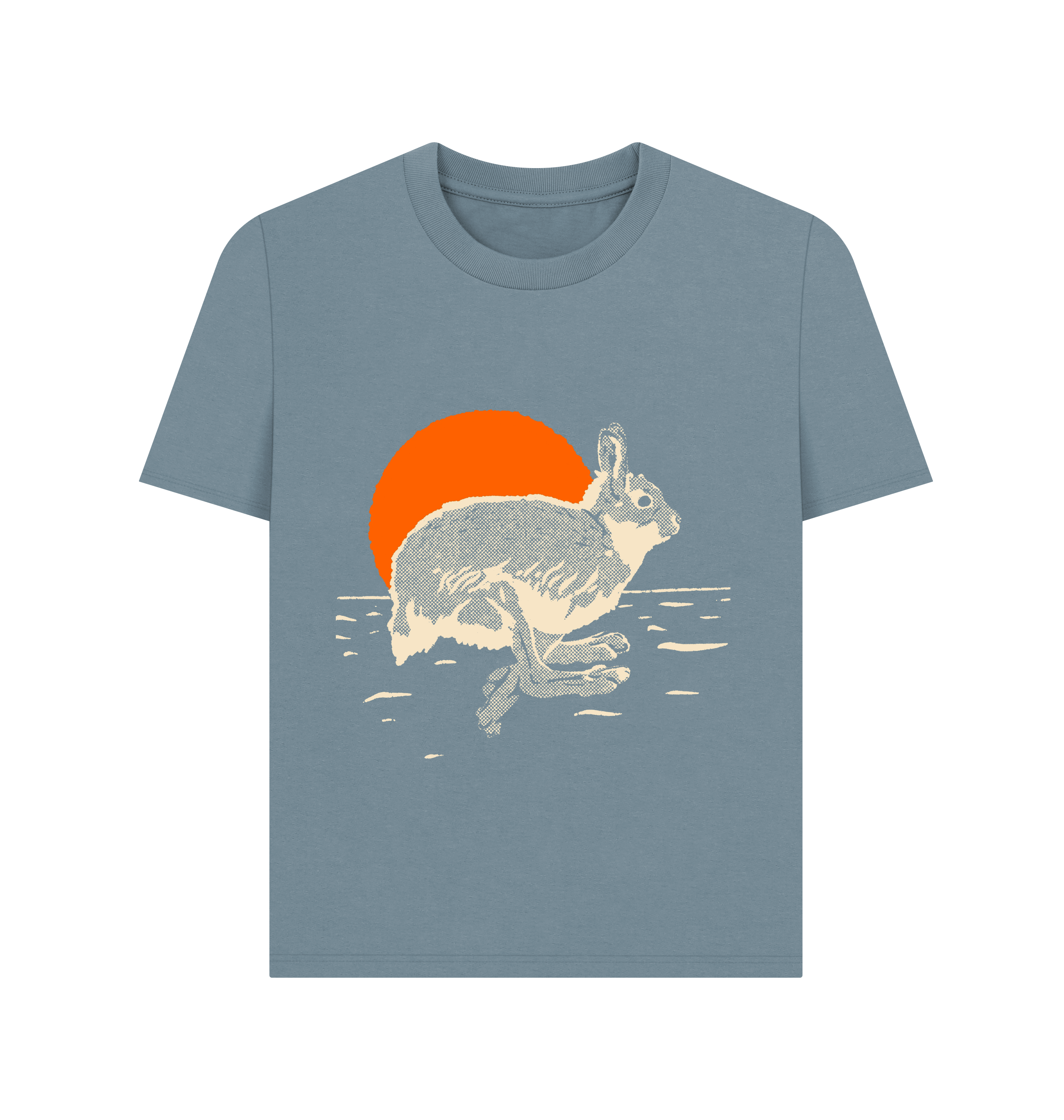 Stone Blue Printed T-shirt Front