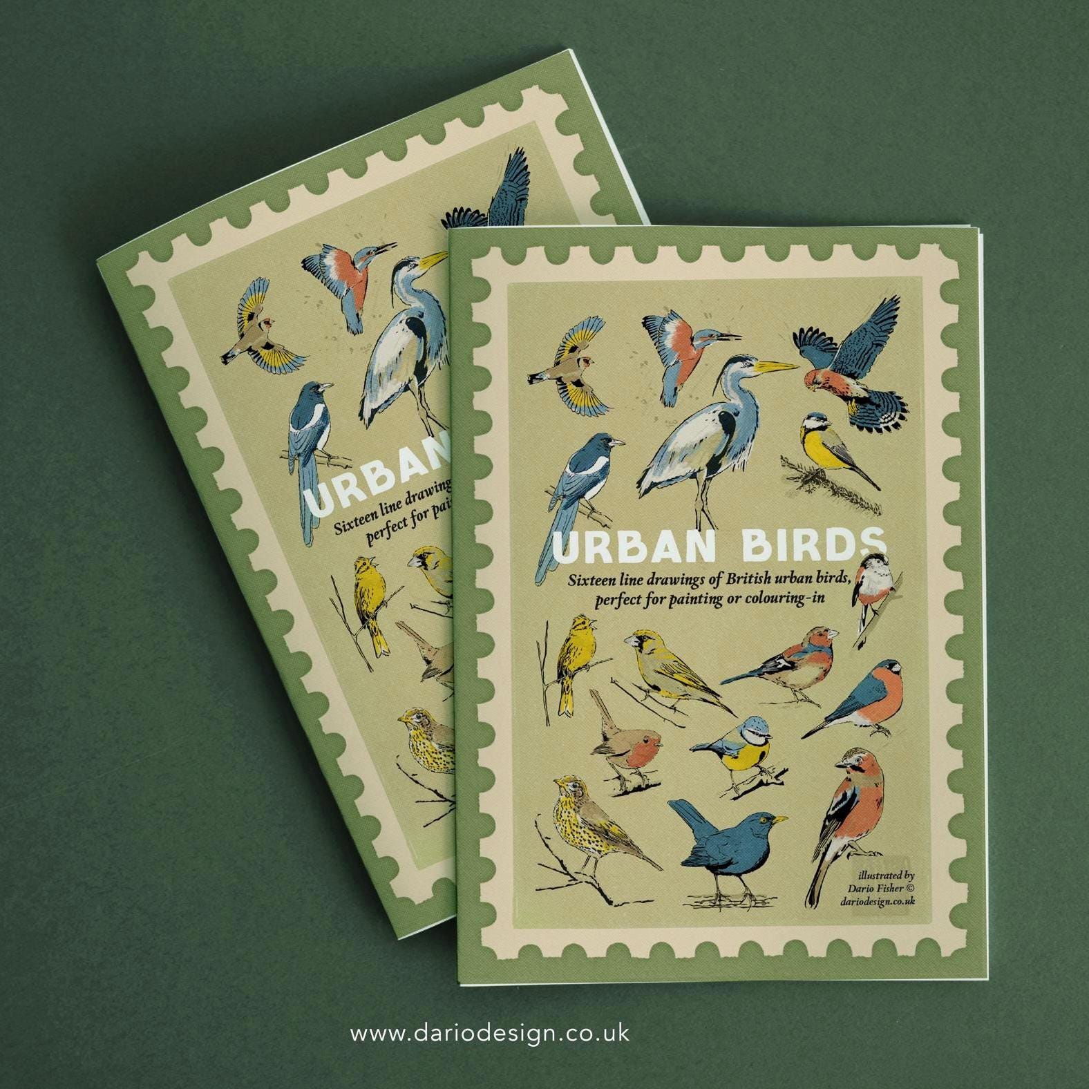 Urban Birds - illustrated book for colouring-in or painting