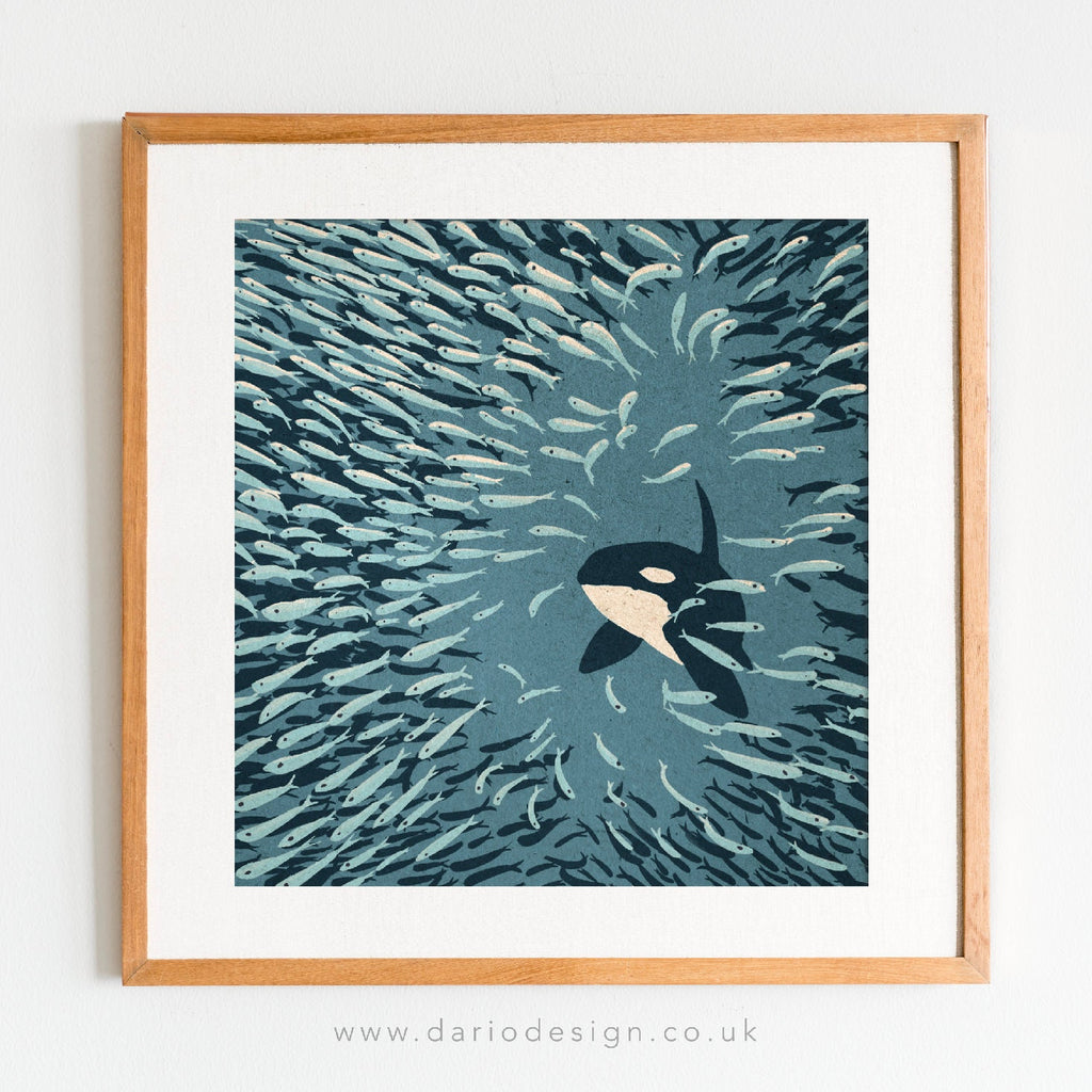 Orca and Herring Ball 40cm art print