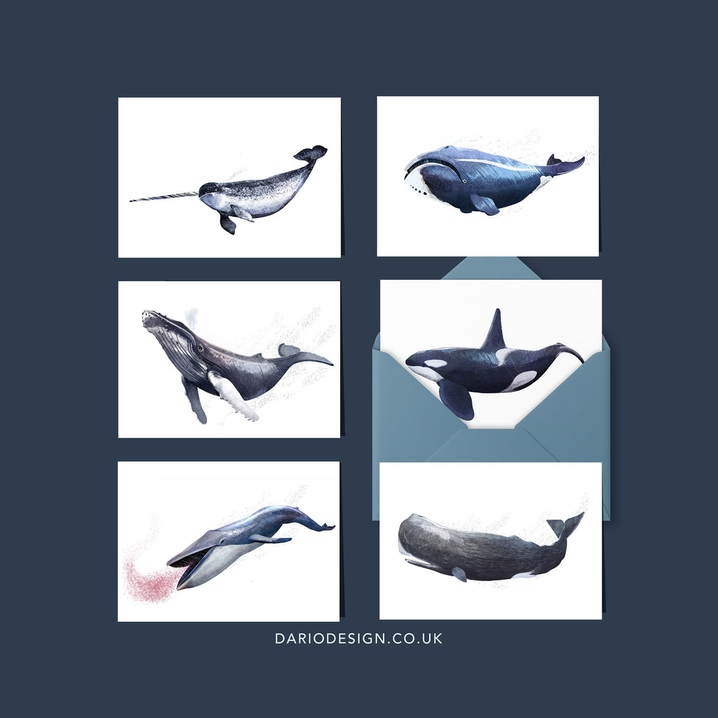 Whales - 6 x Greetings cards