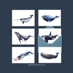 Whales - 6 x Greetings cards