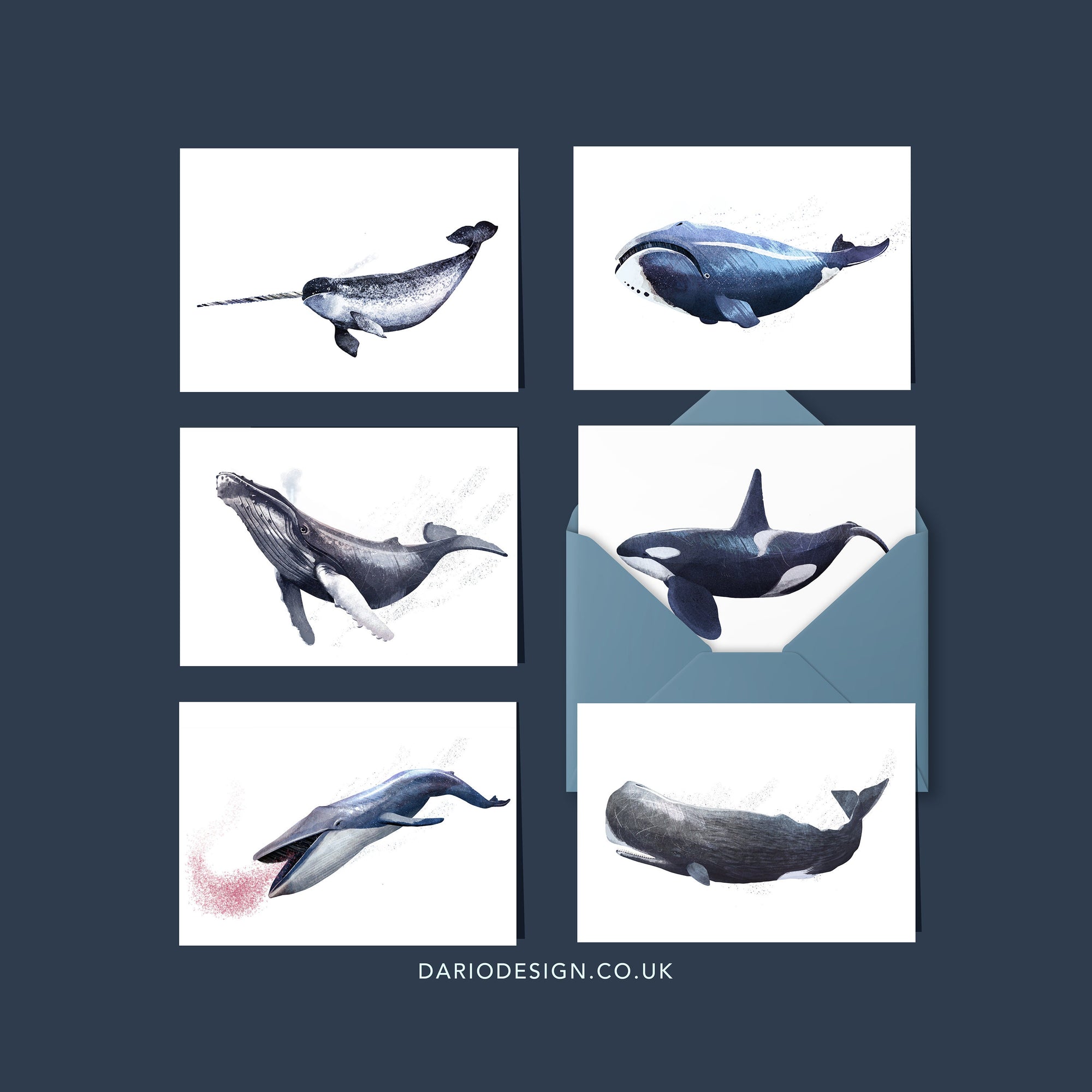 Whales - 6 x Greetings cards