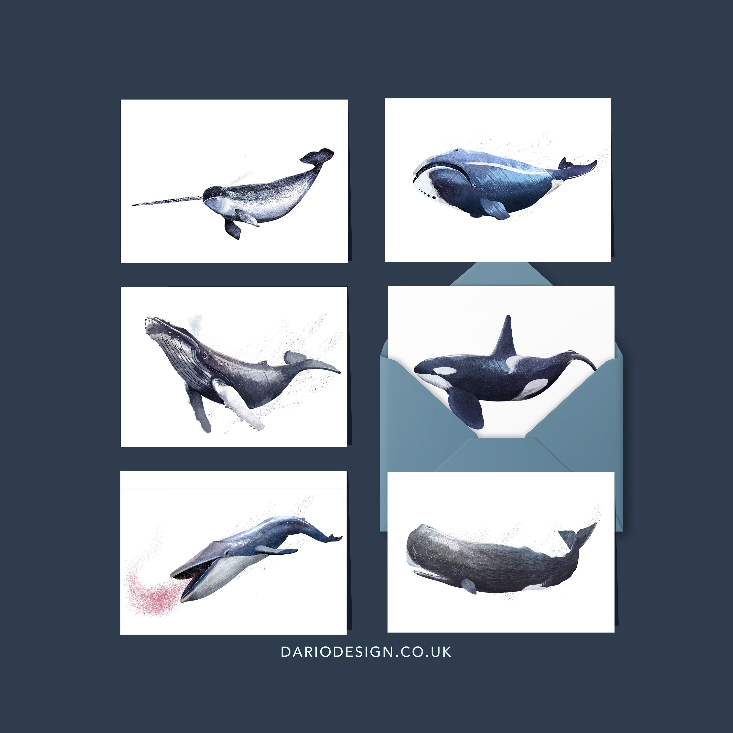 Whales - 6 x Greetings cards