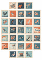 UK Endangered Species retro illustrated print