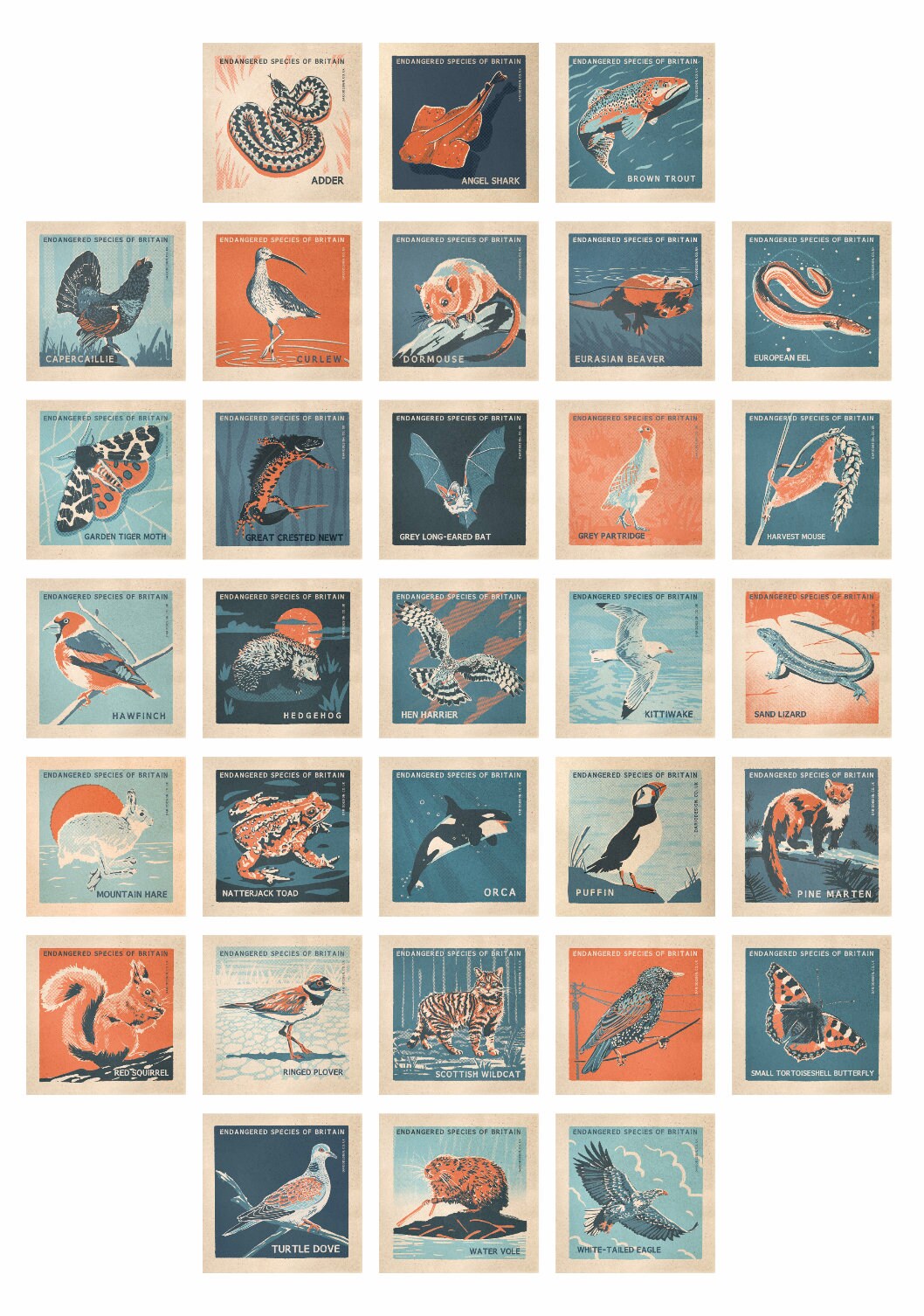 UK Endangered Species retro illustrated print