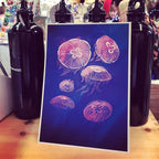 Moon Jellyfish print