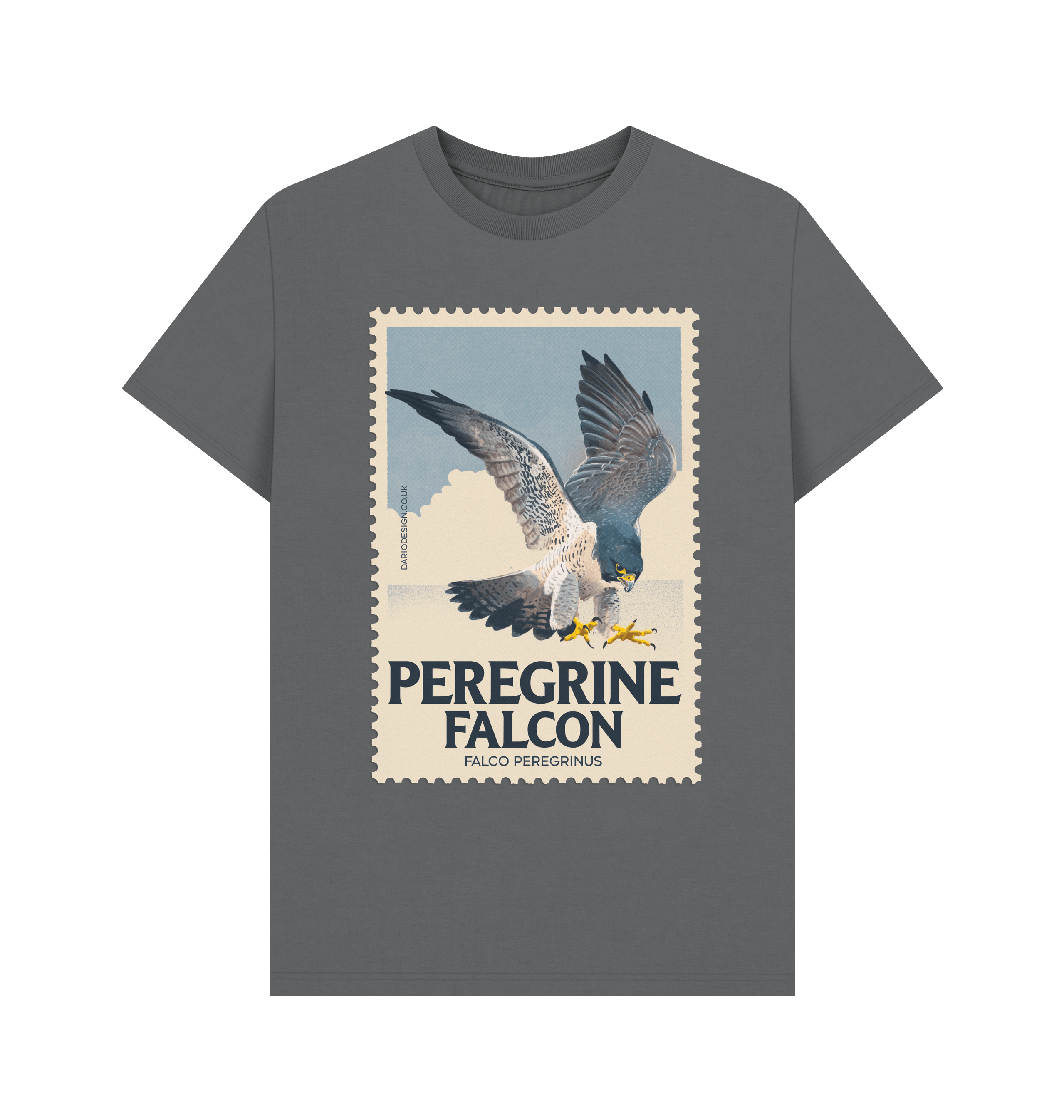 Slate Grey Printed T-shirt Front