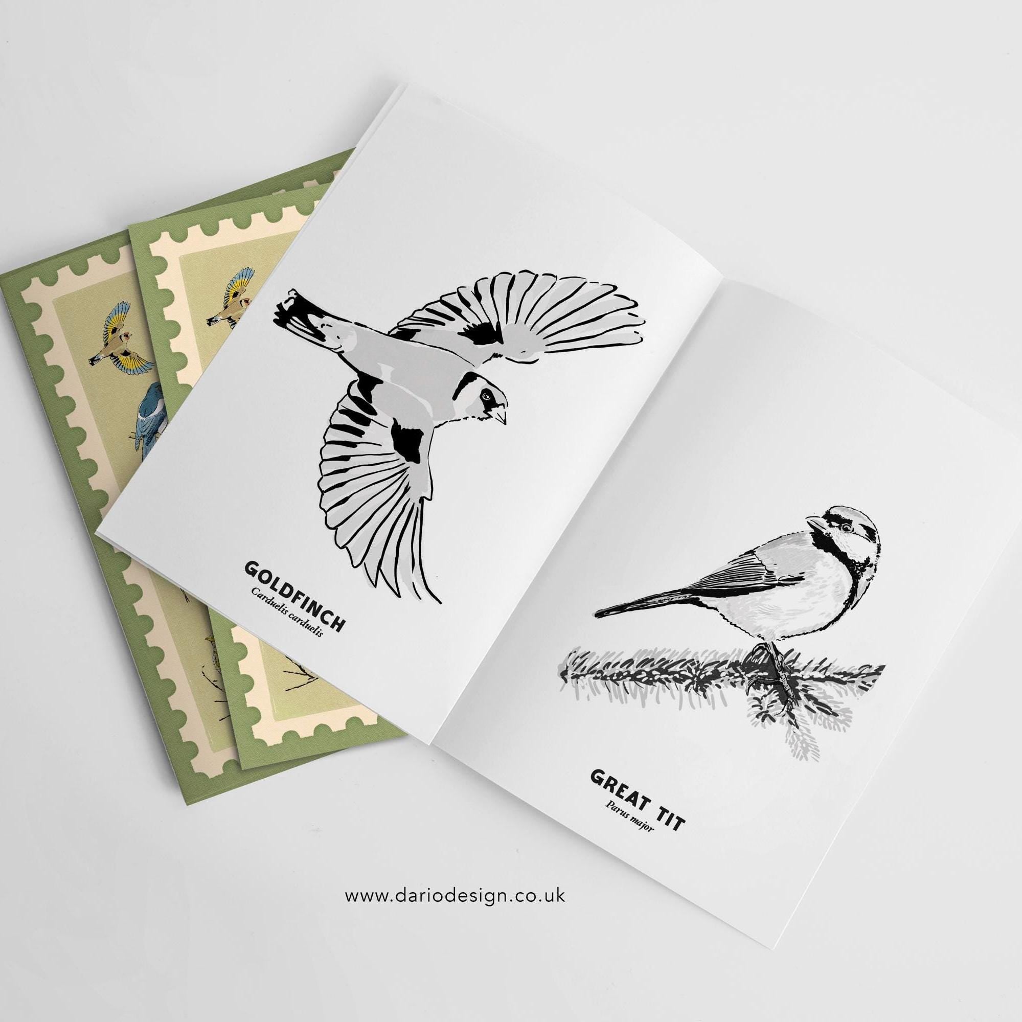 Urban Birds - illustrated book for colouring-in or painting