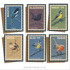 Songbirds - 6x retro illustrated greeting card multipack