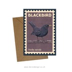 Songbirds - 6x retro illustrated greeting card multipack