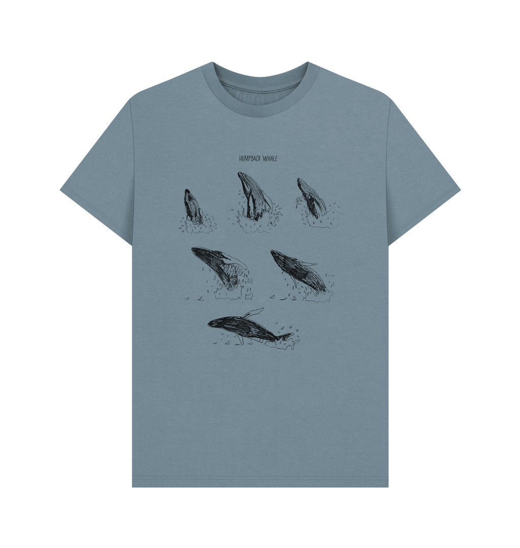 Stone Blue Printed T-shirt Front