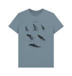 Stone Blue Printed T-shirt Front